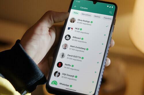 Estudio sobre WhatsApp y su relación entre empresas y consumidores